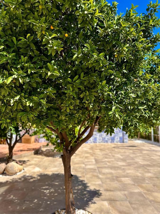 Вілла Libelle Andalusian Hideaway C Гранада Екстер'єр фото